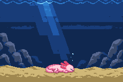 The tank at night, the axolotl asleep